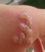 ��״�����Ҫ����������