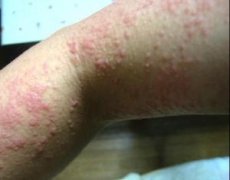 ����ݡ������˽����