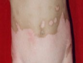 ����������Ҫ���