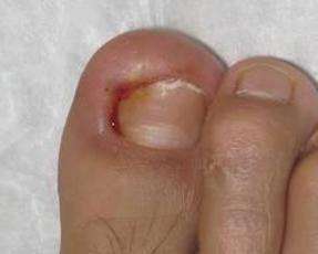 �׹��׼����Ʒ�������Щ